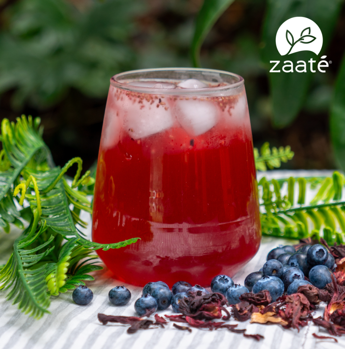 Mini Kombucha Arándanos Jamaica