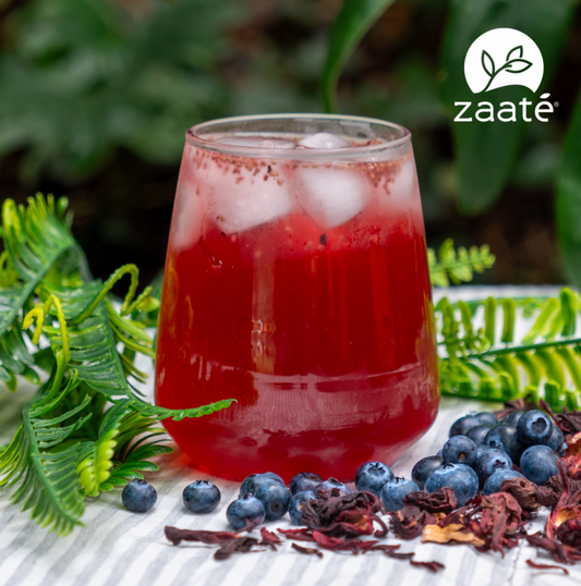 Mini Kombucha Arándanos Jamaica 180g