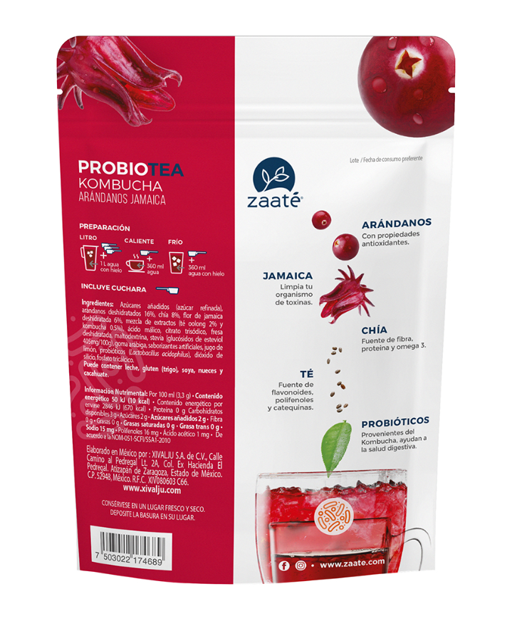 Mini Kombucha Arándanos Jamaica