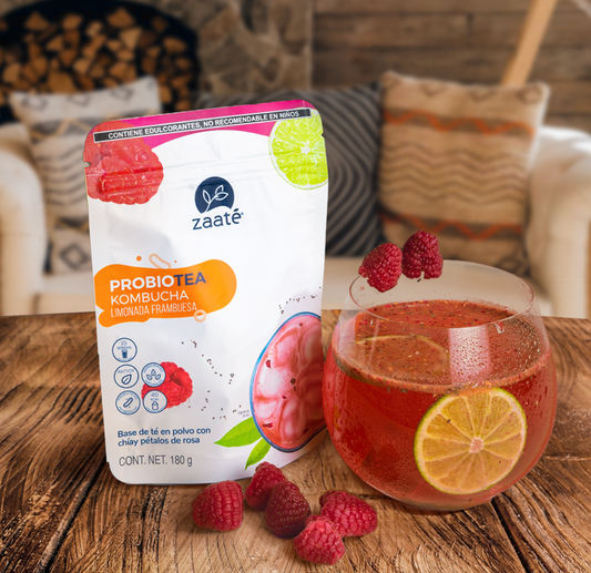 Mini Kombucha Limonada Frambuesa 180g