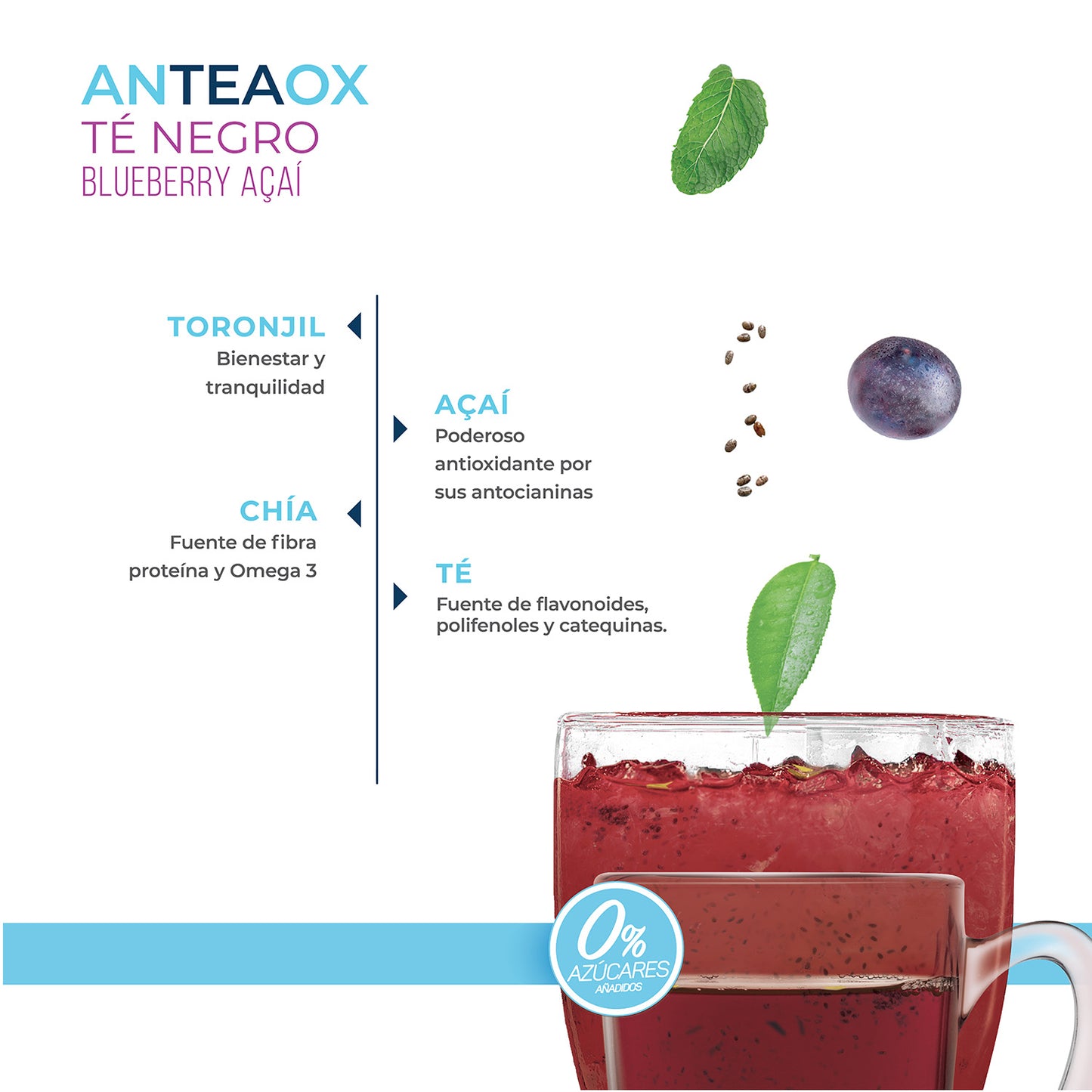 Té Negro Blueberry Açaí
