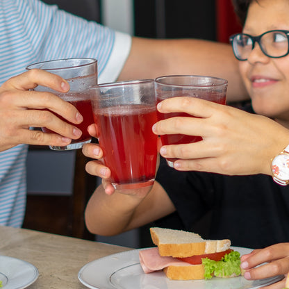 Kombucha Berries Jamaica 0% Azúcar 700g