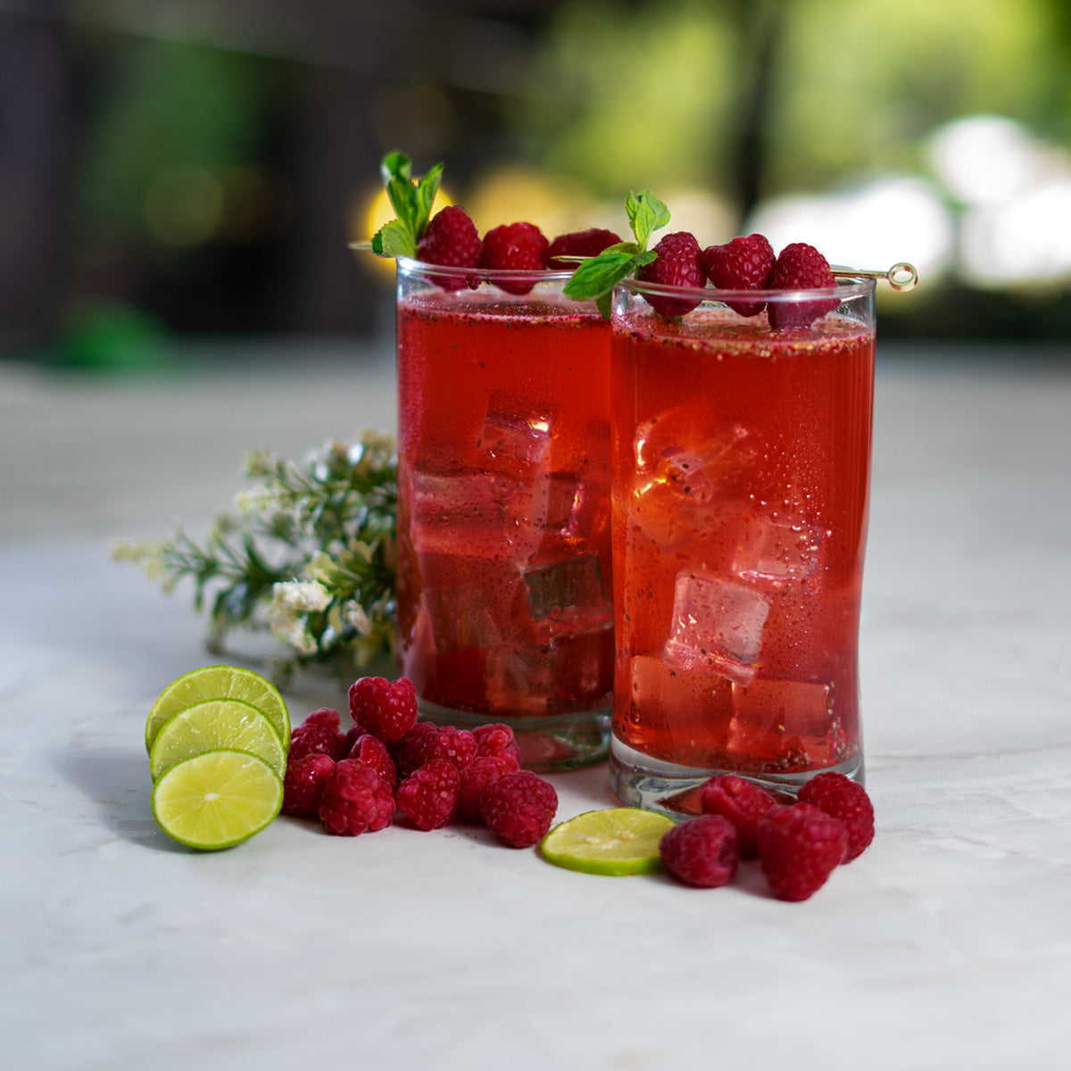 Kombucha Berries Jamaica 0% Azúcar 700g