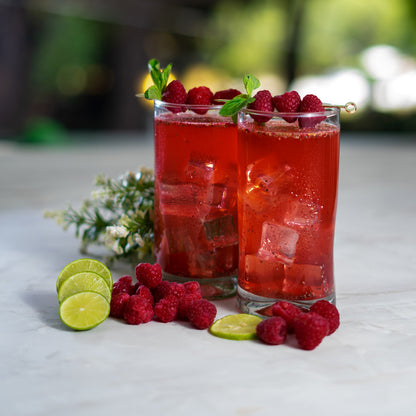 Kombucha Berries Jamaica 0% Azúcar 700g