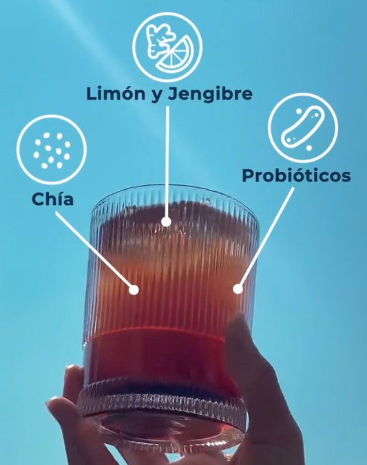 Kombucha Limonada Jengibre 0% Azúcar