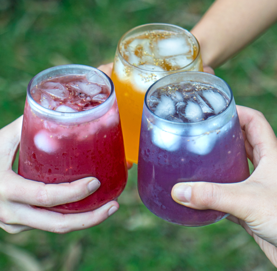 ¡GRAN FIN! Dos mini kombuchas de regalo