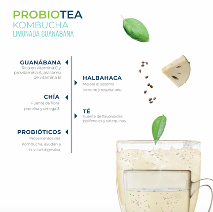 Mini Kombucha Limonada Guanábana
