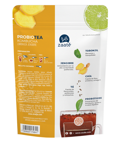 Mini Kombucha Limonada Jengibre