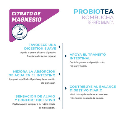 Kombucha Berries Jamaica 0% Azúcar 700g