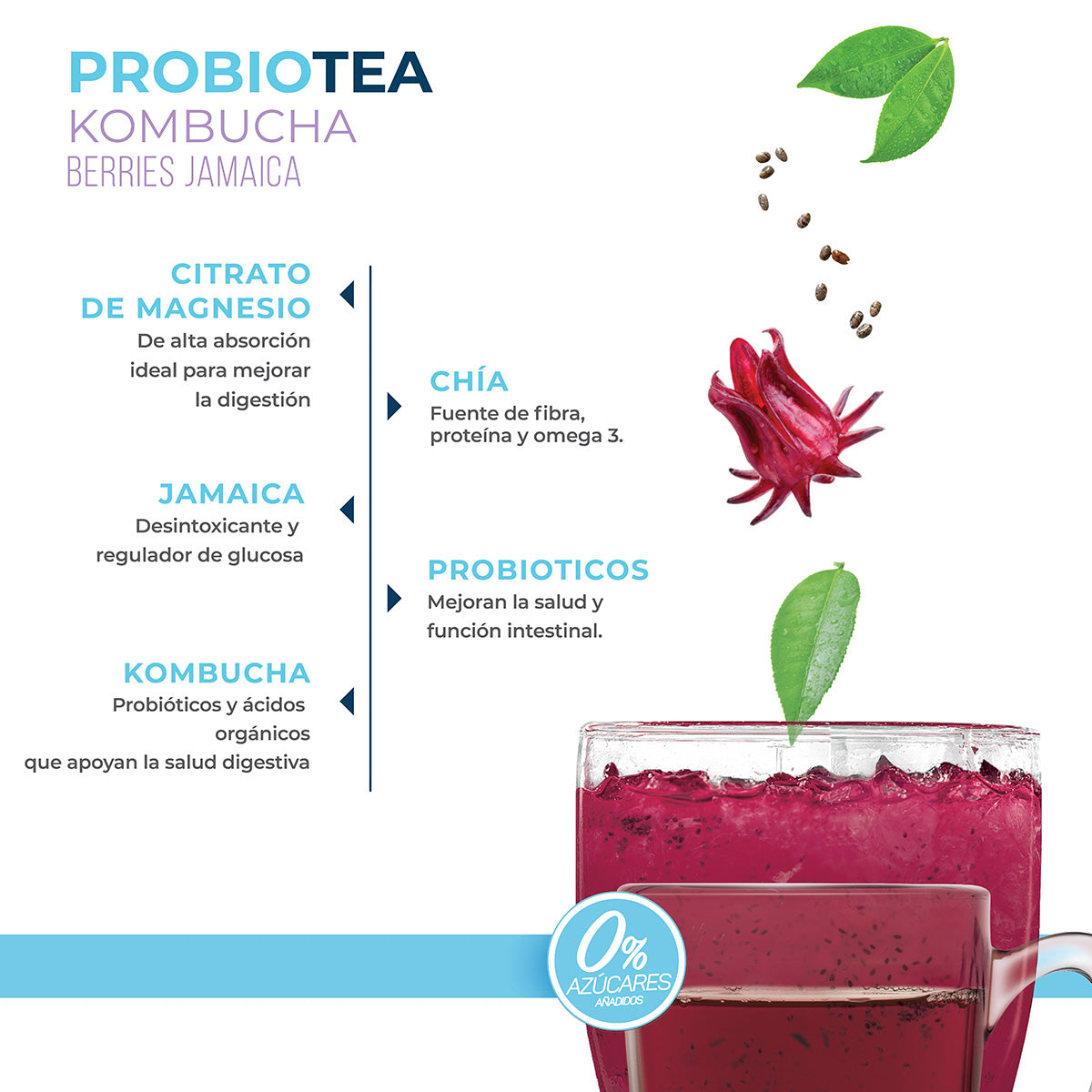 Kombucha Berries Jamaica 0% Azúcar 700g