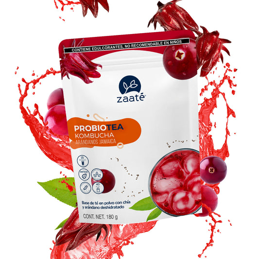 Mini Kombucha Arándanos Jamaica 180g